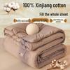 Yuanzhiwei Washed Xinjiang Cotton Quilt