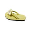 Flip-flops Women's Summer Wear 2025 New Beach Flat-bottomed Cool Slippers