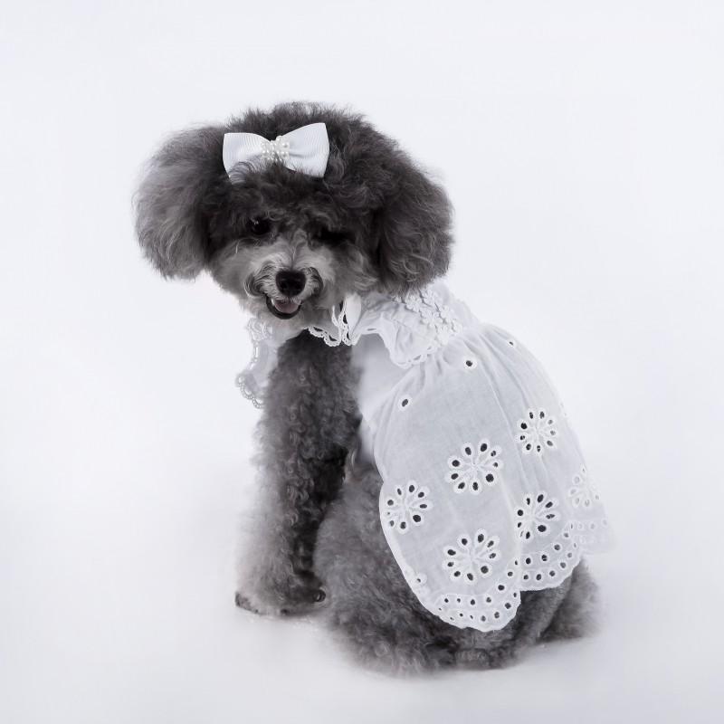 Huisdier Kant Fladderende Mouw Prinsessenjurk Teddy Poedel Kat Met Haaraccessoire