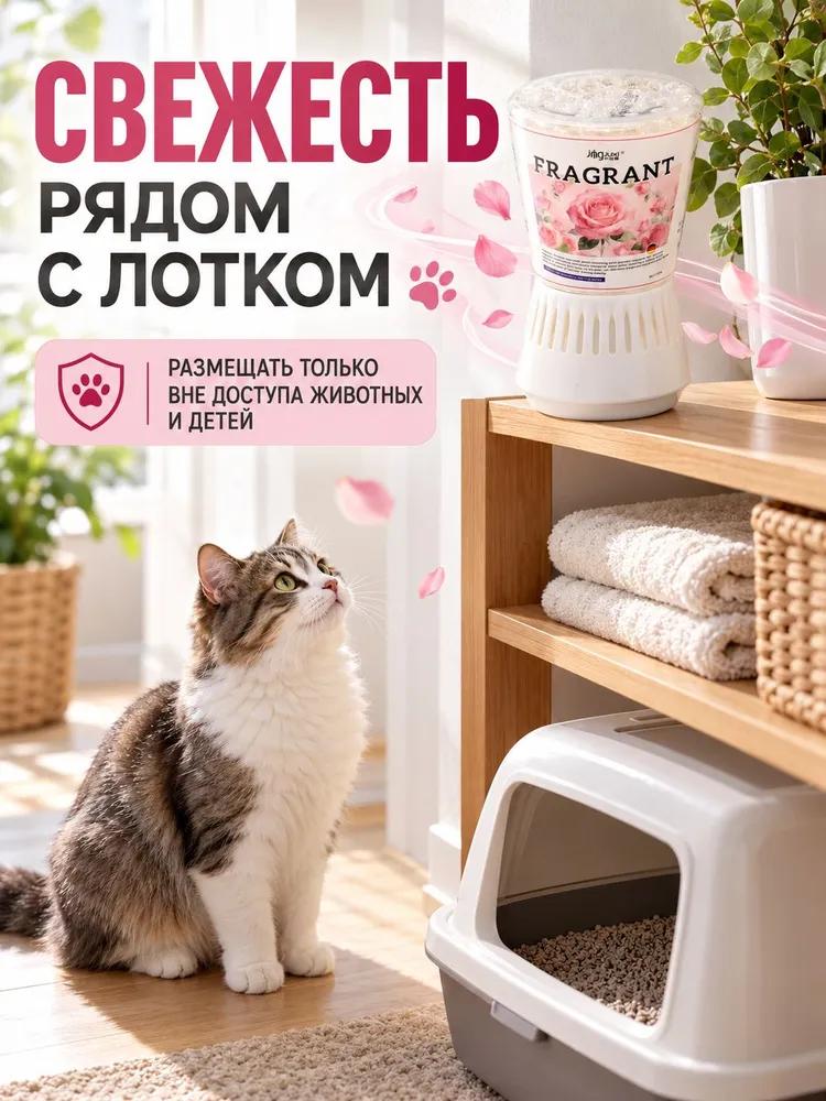 Smell absorber for the room - elimination of the smell of urine and old age
