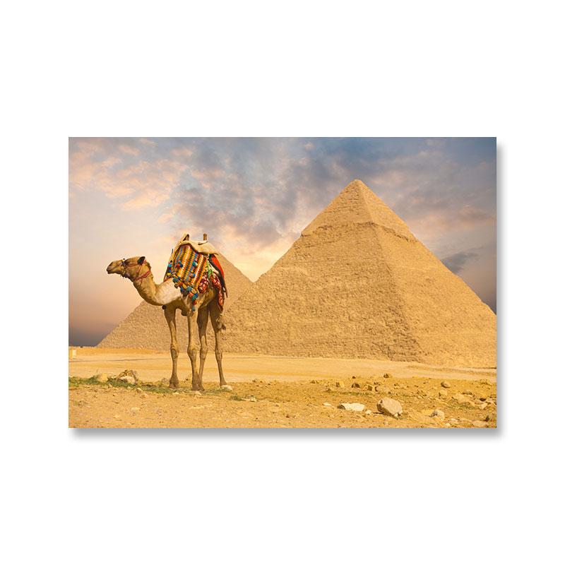 Desert Camel Canvas Painting Animal Wall Pictures Landscape Egyptian Pyramids Nile Posters for Living Room Wall Decor Cuadros