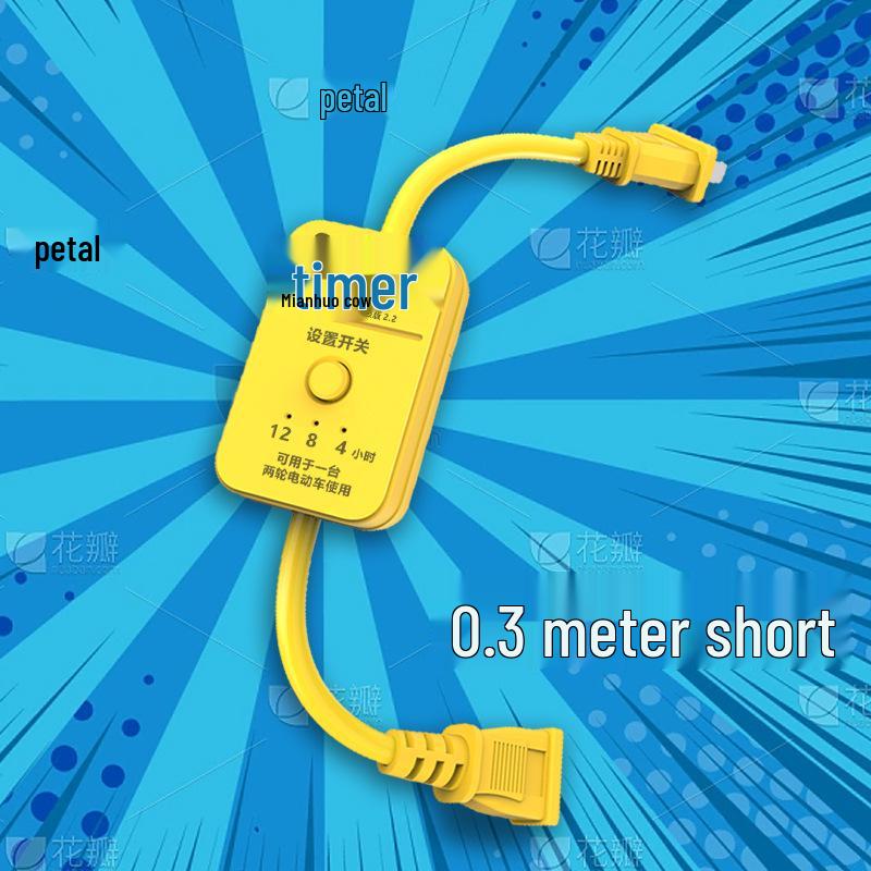 Automatic Power-Off Timer Socket for Charging Devices (10A)