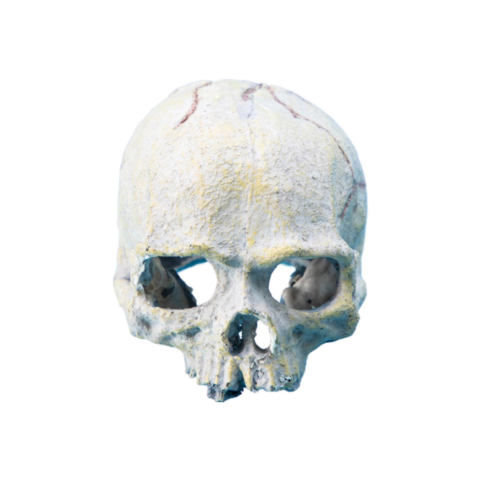 

Убежище змеи для рептилий, декор для аквариума в виде черепа, аксессуары для террариума в виде черепа из смолы для бородатой агамы и королевского питона