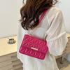 Stylish Chic Small Crossbody Bag Trendy Fashionable Chain Shoulder Purse In Black Pink White Blue