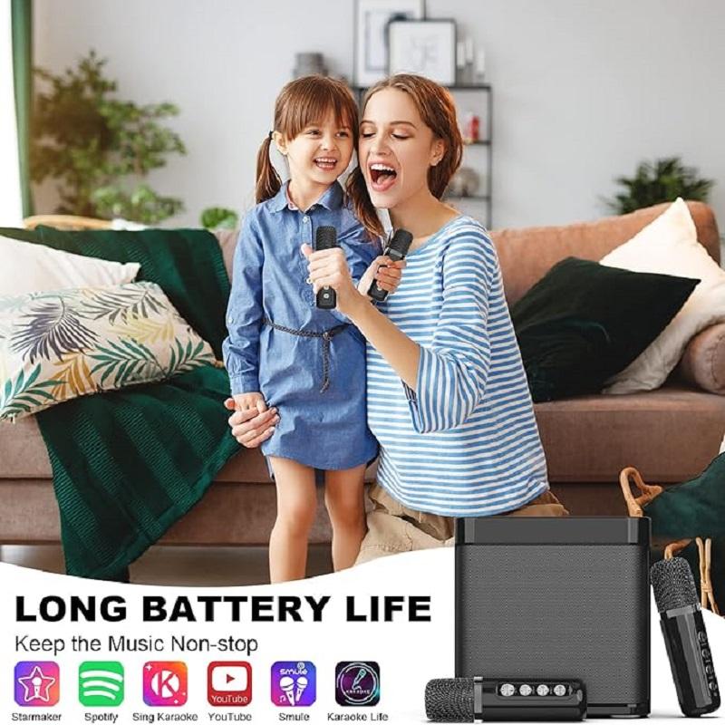 20W Powerful Wireless Portable Dual Microphone Bluetooth Sound Outdoor Family Party Karaoke Subwoofer Boom Box with 2 Microphone