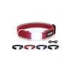 Collier lumineux à LED pour chien - Dog Gone Smart - Rechargeable - Rouge - Taille L - 45,7 à 63,5 cm - Nylon résistant