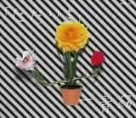 

CD YO HITOTO - Tadaima COCA16042PROMO Japan ObiJapanese Pop/Rock Used