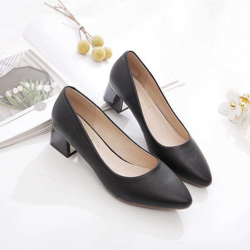 Spring and Summer Four Seasons New Pointed Thick Heel High Heels Women's Mature Casual Professional Dress Work Shoes Women's Single Shoes