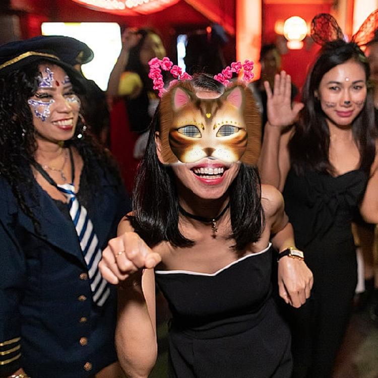 Cats Mask Masquerade Mask Anime Cosplay Mask Hand-Painted Cats Mask with Plush Fabric Blank Mask for Halloween