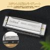 10-Hole Chromatic Harmonica In C Key, Available In Silver or Black, for Beginners To Advanced Players, Highly Airtight Blues Harp Set (Silver)