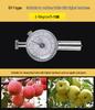 GY Precision Fruit Hardness Tester Portable Handheld Ripeness Detector