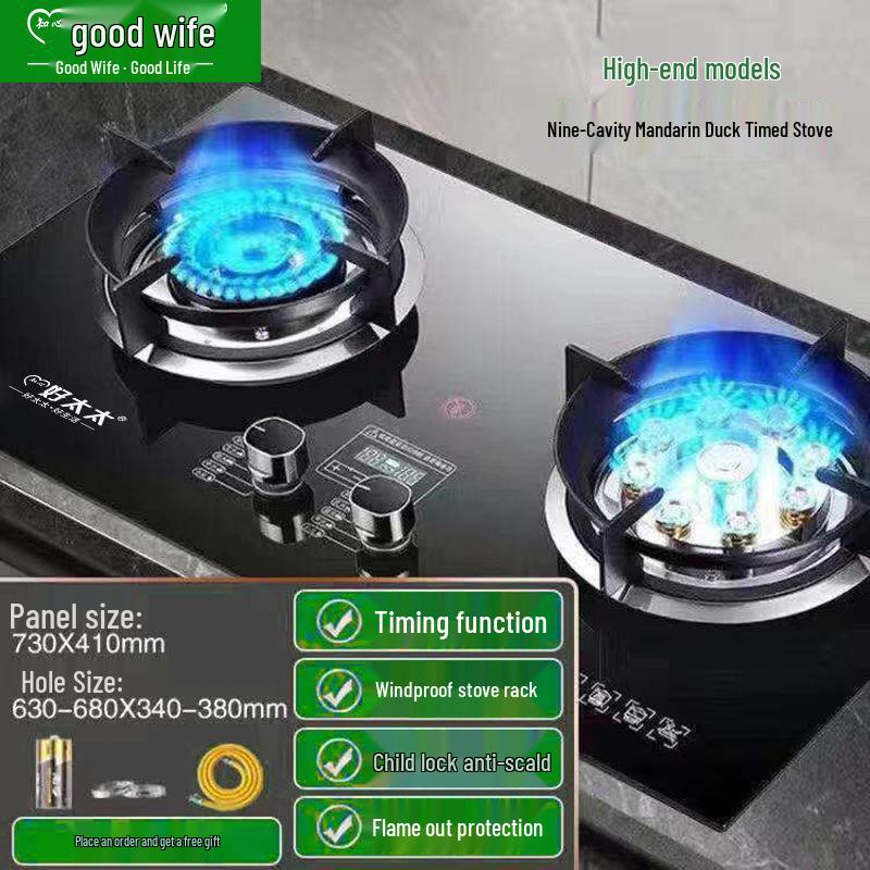 Good Wife Double Burner Gas Stove: Tabletop & Embedded, for Natural or Liquefied Petroleum Gas