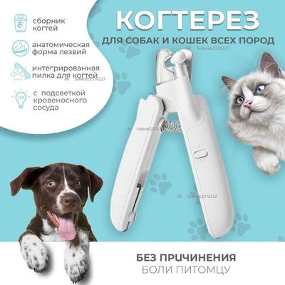Kočky – Péče o kočku