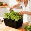 6 Holes Hydroponic Grower Kit Self Watering Nursery Pots Soil-Free Planting Box  Vegetable Growing