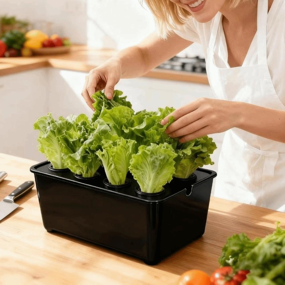 6 Holes Hydroponic Grower Kit Self Watering Nursery Pots Soil-Free Planting Box  Vegetable Growing