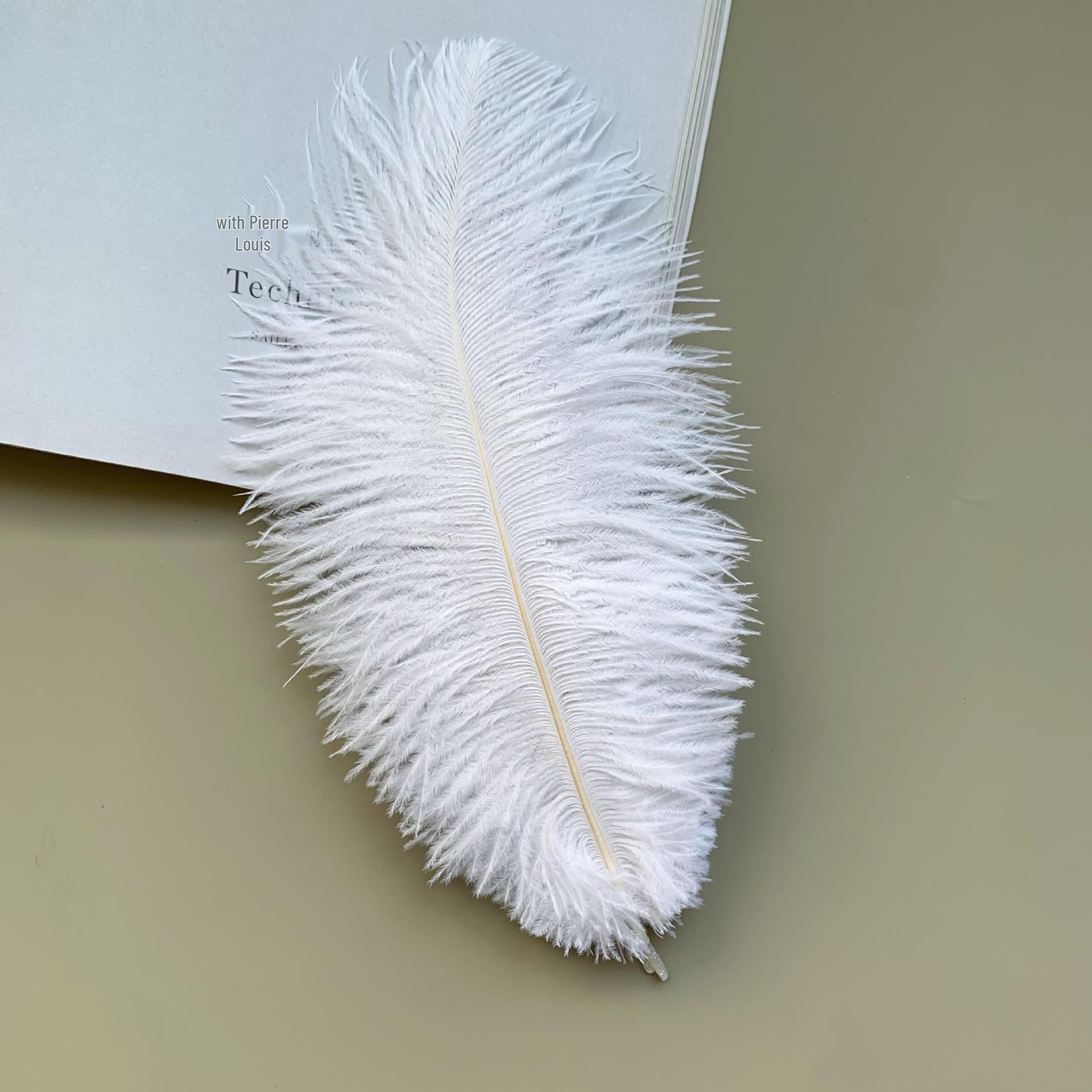 

Высококачественные страусиные перья 20-25 см для костюмов DIY и цветочных композиций