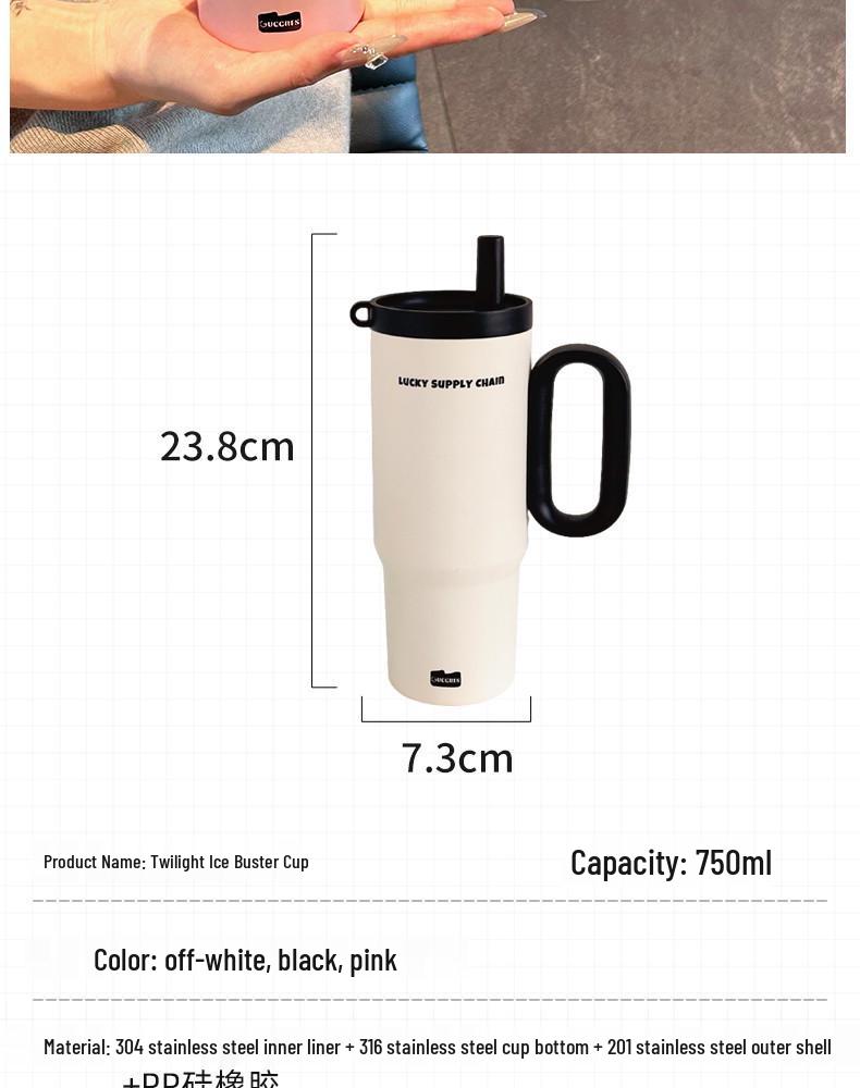 316 Stainless Steel Insulated Water Cup with Straw, Large Capacity, Handle, Portable Tea Container for Outdoor/Car Use