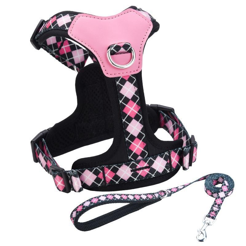 Dog Harness and Leash Set for Small Medium Dogs, Lightweight Breathable Mesh Puppy Harness, Adjustable Soft Pet Vest for Walking