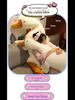 Big White Goose Plush Pillow – Cute Gift for Girls' Birthdays