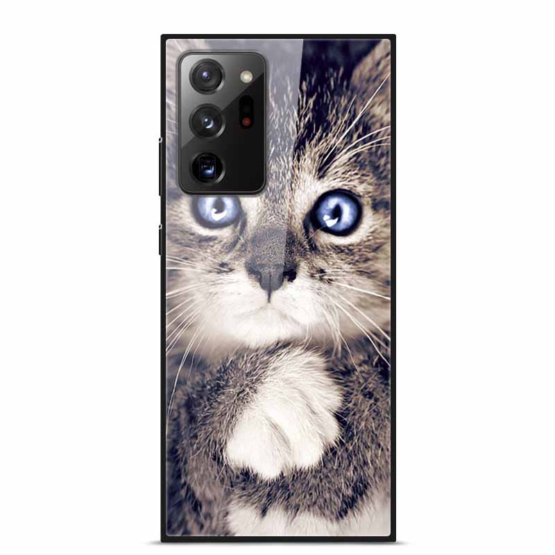 Glass Back Cover For Samsung Note 20 Ultra Case Tempered Glass Case For Samsung Galaxy S21 Ultra Case S 21 Note20 Ultra Funda