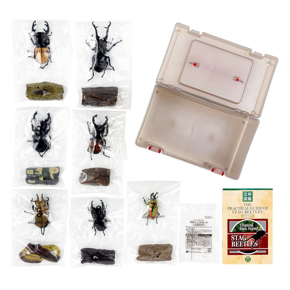 COLORATA Stag Beetle 3D Illustrated Book Types Explanation Realistic Figure Birthday Present Gift Sanitation Law Figure Box Beetle Christmas Present