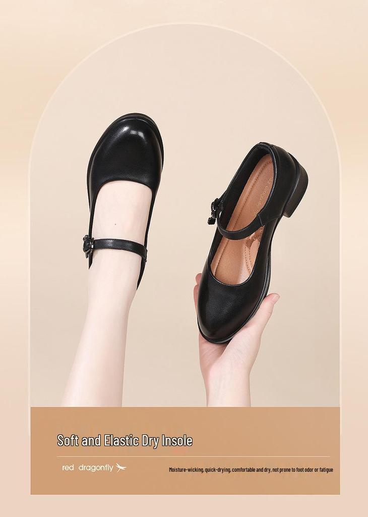 Red Dragonfly Women's Genuine Leather Mary Jane Loafers - Chunky Heel, Shallow Cut, Perfect for Spring and Autumn.