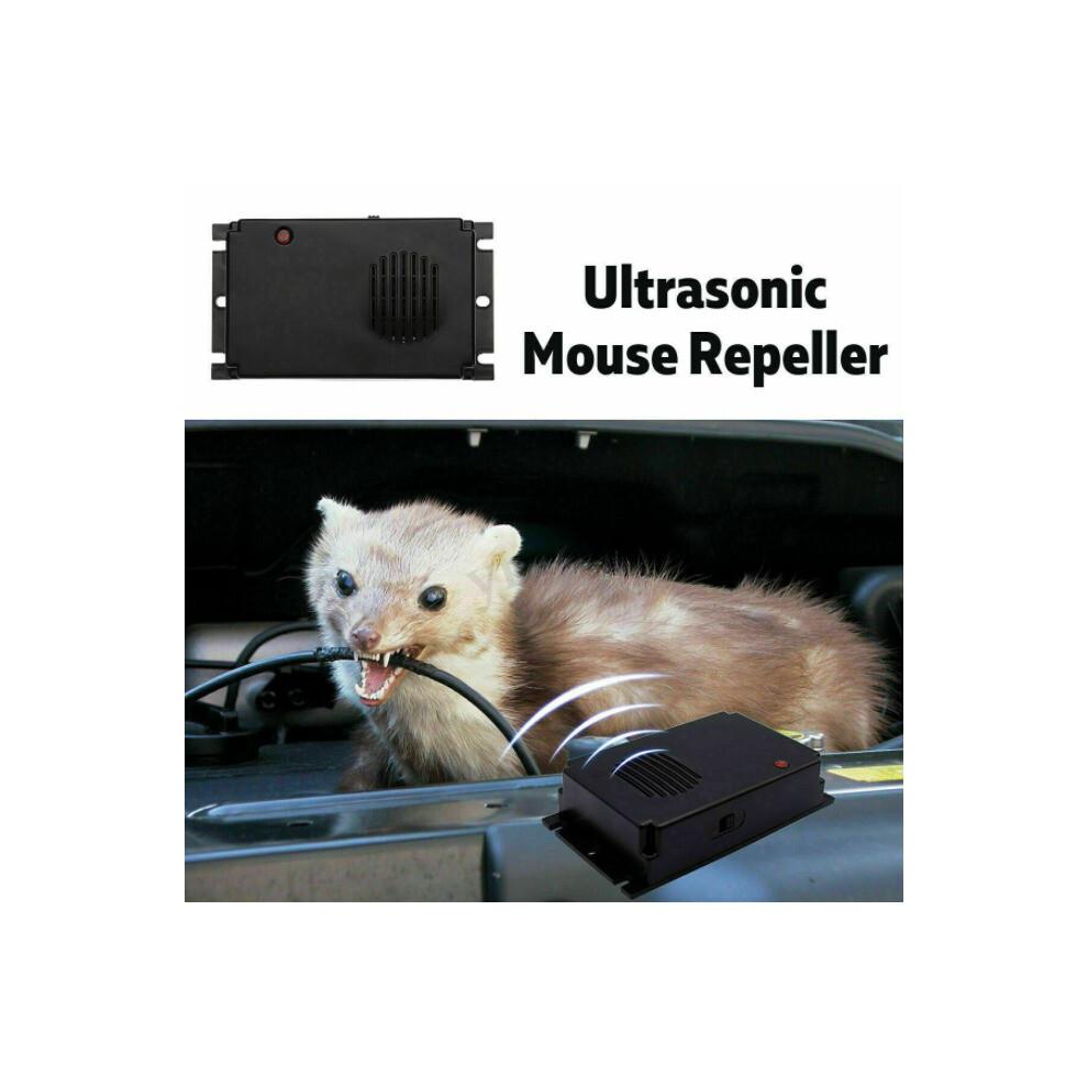 Ultrasonic Pest Repeller for Home & Car - Safe 12.5 kHz Mouse & Rat Rodent Control, Battery Powered (4xLR14)