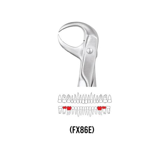 GDC Extraction Forceps Lower Molars - 86 Ergonomic (FX86E)