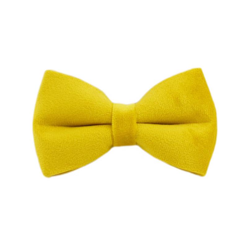 Pet collar, dog leash, dog collar, yellow velvet.