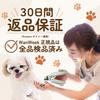 WanWeek Cat and Dog Nail with LED Light and Shatterproof Stainless Steel Prevents Ingrown Safety Suitable for Cats and Extra Small To Small Stylish