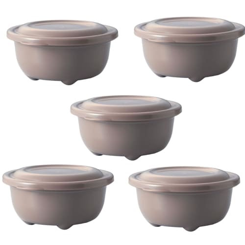 Takeya Fluffy Rice In the Microwave, 5-Pack, 250ml, Beige, Made In Japan, Dishwasher Safe, Freezer, Refrigerator, 106910