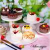 Miaomyao Food Sample Dummy Fake Clay Whole Chocolate Cake Toy Cake, Cake, Cake, Cake,