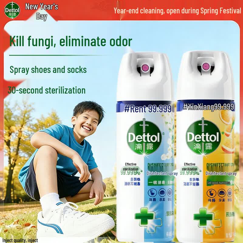 Dettol Disinfectant & Deodorizing Spray 2-Pack