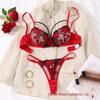 Gothic Style Transparent Embroidered Lingerie Set: Flirty and Sexy Bra & Panties.