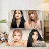 kpop pink Show Performance Blanket Flannel Blanket for bed, sofa, Camping, Hiking, Picnic Essentials, gift for family Fan gifts