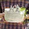 Cute Rabbit Ornament, Rabbit Potted Ornament Delicate Cute Animal Decorative Resin Lovely Ornament Plant Pot for Balcony