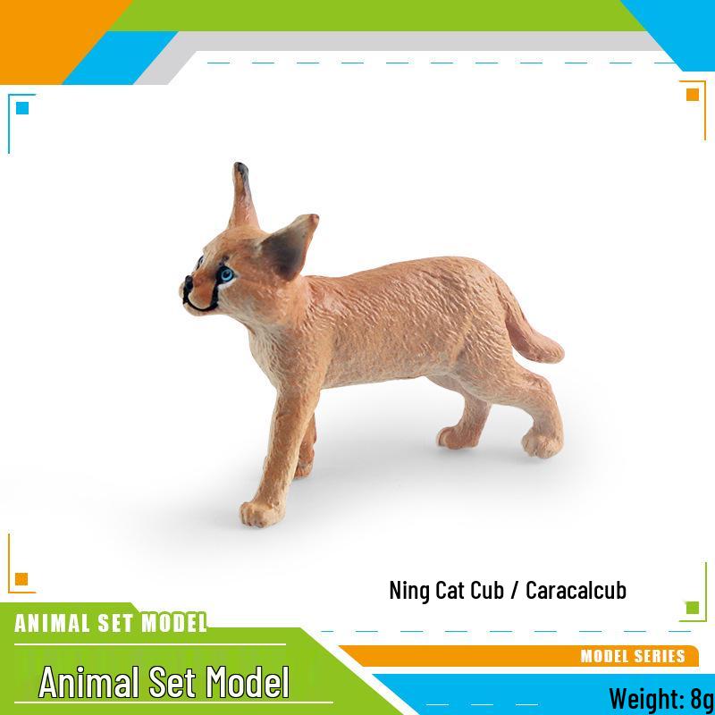Cross-Border Wildlife Simulation: Monkey, Tree Frog, Crocodile, Weasel, Skunk, Badger, Koala, Salamander Models.