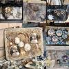 Decoration Filler Material Pack: DIY Handmade Accessories Set with Tanmei Zha Background Paper and Bag