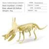 Fossil Dinosaur Skeleton Model With Plastic Material For Kids Educational Decor