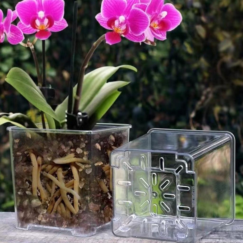 Clear Breathable Plant Container Desktop Ornament Planter Plant Pot Crafts Decors Planter Landscape Crafts