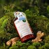Zhuolanya Ginger Resurrection Repair Shampoo