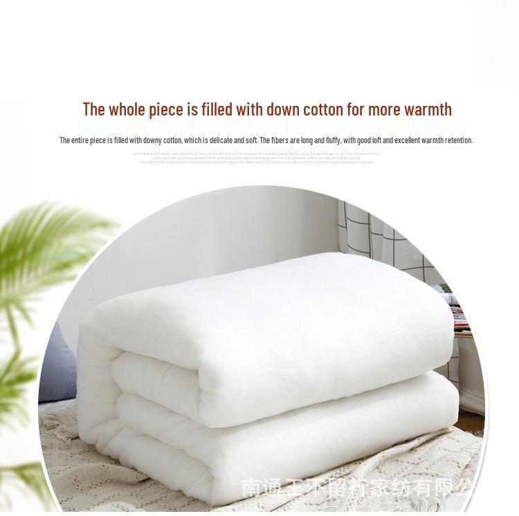 Brushed Comforter: Thickened Silk Cotton Quilt for All Seasons