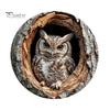 Wooden Hanging Sign for Wall Winter Bird Sign, Rustic Decorative Plaque with Animal Decor Rope, 2D Flat Art Christmas Holiday Home Door