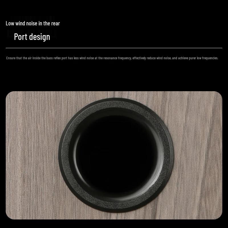 HiVi Oasis Passive HiFi Bookshelf Speaker CN plug (adapter included) (CN version)