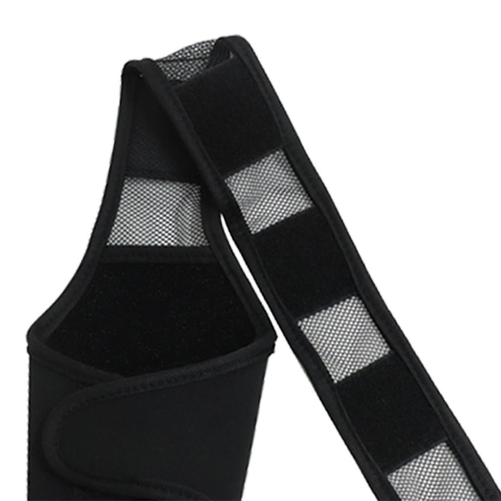 Rear Leg Hock Support Breathable Joint Wrap Protects