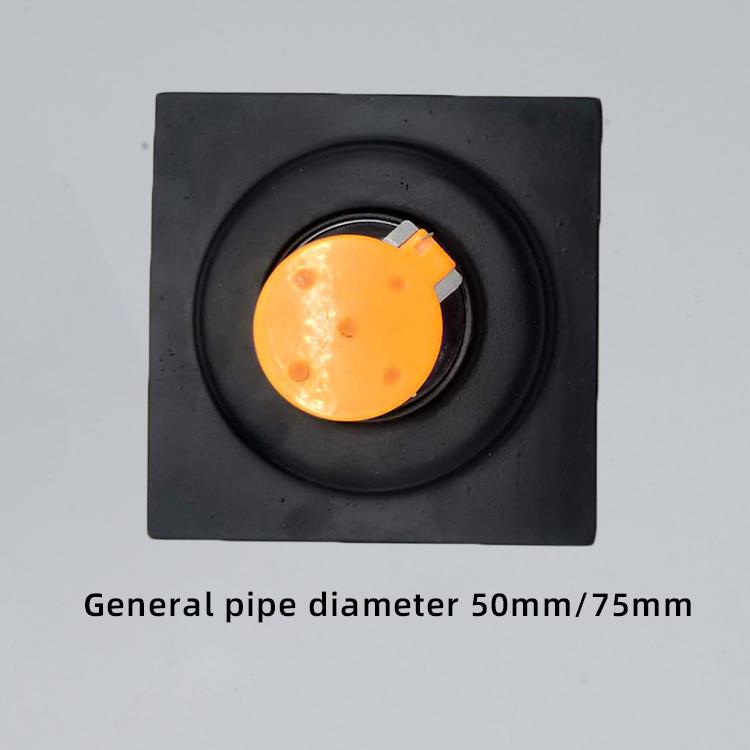 Bathroom Insect-proof Stainless Steel Floor Drain Anti-odor Core Toilet Black Floor Drain