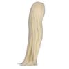 1/3 Ball Jointed Doll Wig Centre Parting Easy Styling Glossy Feel High Temperature Silk Doll Hair Wig for Kids Light Gold