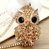 Fashionable Long Owl Pendant Sweater Necklace In Titanium Steel For Stylish Outfits