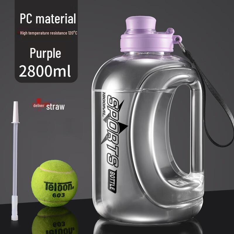 Lion Search Insulated Water Bottle