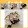 Fashionable Elegant Single Shoulder Crossbody Small Square Bag For Women Spring Trend